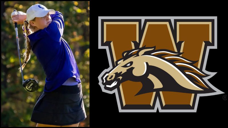 Lupinek WMU Lupinek Commits to WMU